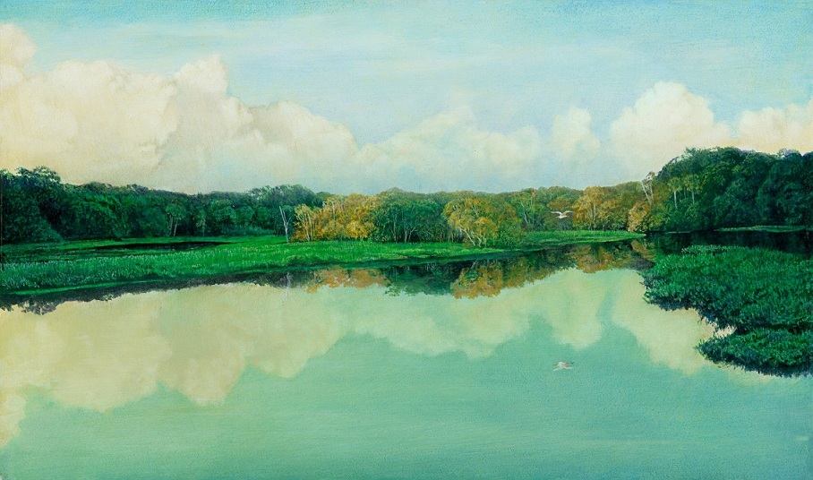 Charles Rowe Florida Wildlife and Landscape Artist, New Originals