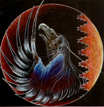 First Feather.JPG (86192 bytes)