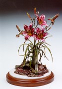 Summer Lillies